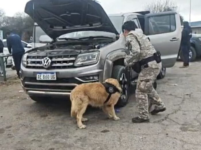 DESARTICULAMOS UNA BANDA NARCO QUE TRASLADABA COCAÍNA DESDE SALTA A BUENOS AIRES 7 DETENIDOS Y CASI 200 KILOS DE DROGA SECUESTRADOS