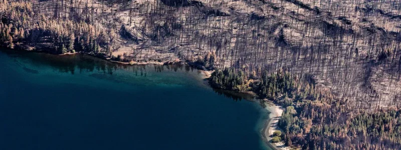 incendio-patriada-chubut